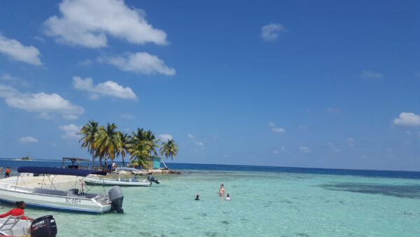 Silk Caye swimming
