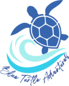 Blue Turtle Snorkeling