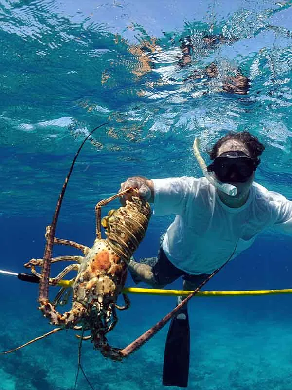 Spearfishing and Lobster hunt | Placencia, Belize