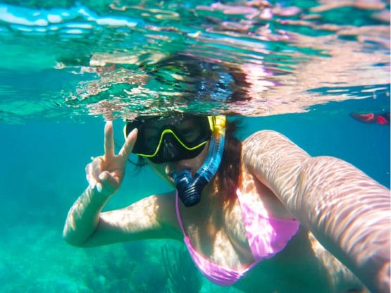 SNORKELER PARADISE SNORKELER PARADISE