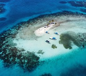 Silk caye