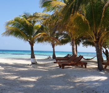 Moho Caye- island hopping