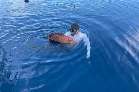 Spearfishing in Placencia, Belize